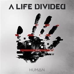 A Life Divided — Could You