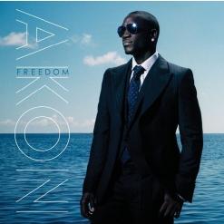 Akon — Troublemaker (feat. Sweet Rush)