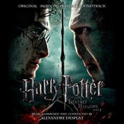 Alexandre Desplat — Voldemort's End