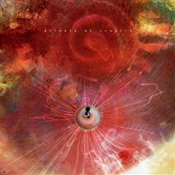 Animals As Leaders — Physical Education