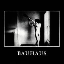 Bauhaus — In The Flat Field