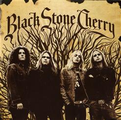 Black Stone Cherry — Rain Wizard