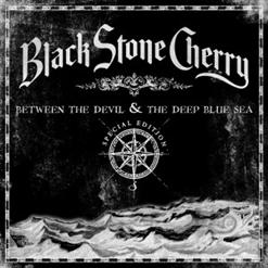 Black Stone Cherry — Stay