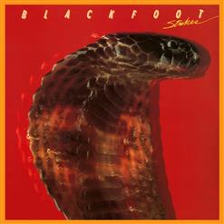 Blackfoot — Highway Song