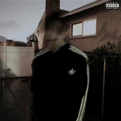 BONES — Protein
