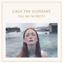 Cage the Elephant — Too Late To Say Goodbye