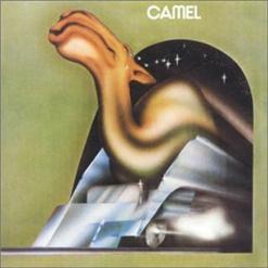 Camel — Arubaluba
