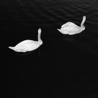 Cashmere Cat — Adore