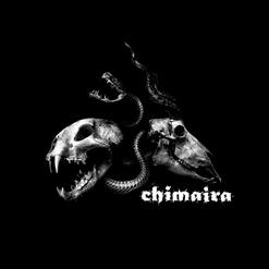 Chimaira — Salvation