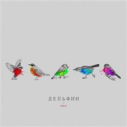 Dolphin — 9 Мая