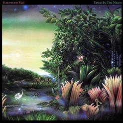Fleetwood Mac — You and I Part 2