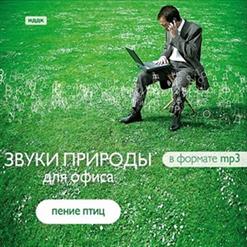 Id — Синицы (Перекличка)