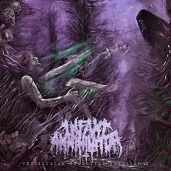 Infant Annihilator — Unholy Gravebirth