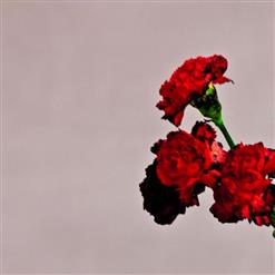 John Legend — Dreams