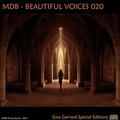 Lisa Gerrard — Elysium; Honor Him; Now We Are Free (With Hans Zimmer) (The Gladiator OST)
