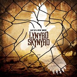Lynyrd Skynyrd — Honey Hole