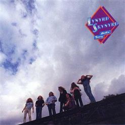 Lynyrd Skynyrd — Saturday Night Special