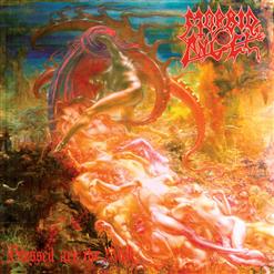 Morbid Angel — Desolate Ways