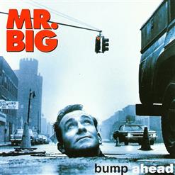 Mr. Big — Temperamental
