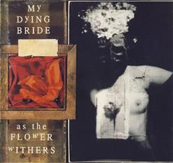 My Dying Bride — Sear Me