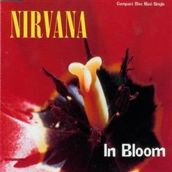 Nirvana — In Bloom (LP Version)