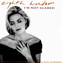 Pet Shop Boys — I'm Not Scared (Disco Mix)