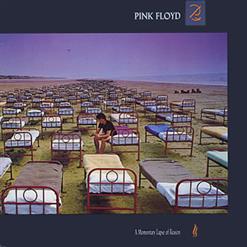Pink Floyd — Signs Of Life [Instrumental]