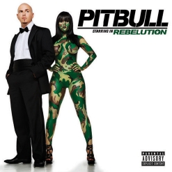 Pitbull — Shut It Down (feat. Akon)