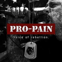 Pro-Pain — No Fly Zone