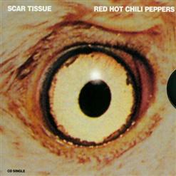 Red Hot Chili Peppers — Scar Tissue (Album Version)