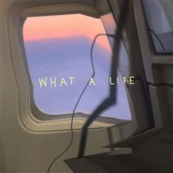 Scarlet Pleasure — What A Life
