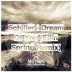 Schiller — Dream Of You (Ellin Spring Remix)