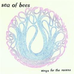 Sea Of Bees — Wizbot