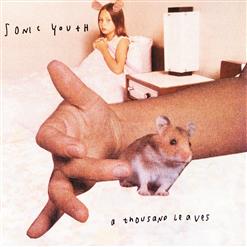 Sonic Youth — Sunday