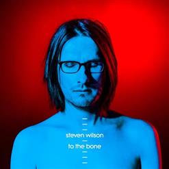 Steven Wilson — Pariah