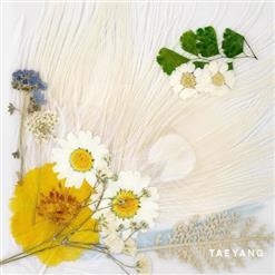Taeyang (Big Bang) — WAKE ME UP