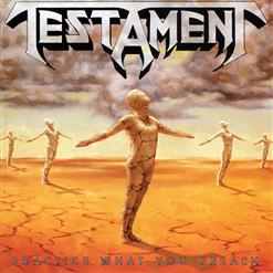 Testament — Confusion Fusion