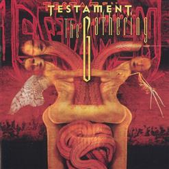 Testament — Fall Of Sipledome