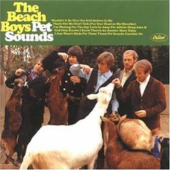 The Beach Boys — Hang On To Your Ego