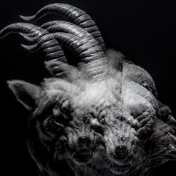the GazettE — REDO