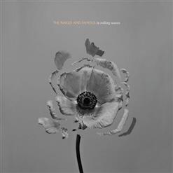 The Naked And Famous — Hearts Like Ours