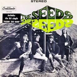 The Seeds — Can't Seem To Make You Mine