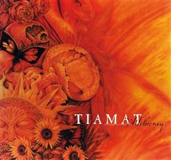 Tiamat — When You're In (Pink Floyd Cover Version Bonus 2011)