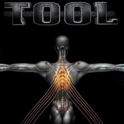 Tool — No Quarter