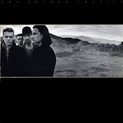 U2 — Wave Of Sorrow (Birdland)
