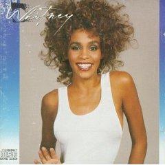 Whitney Houston — Didn't We Almost Have It All